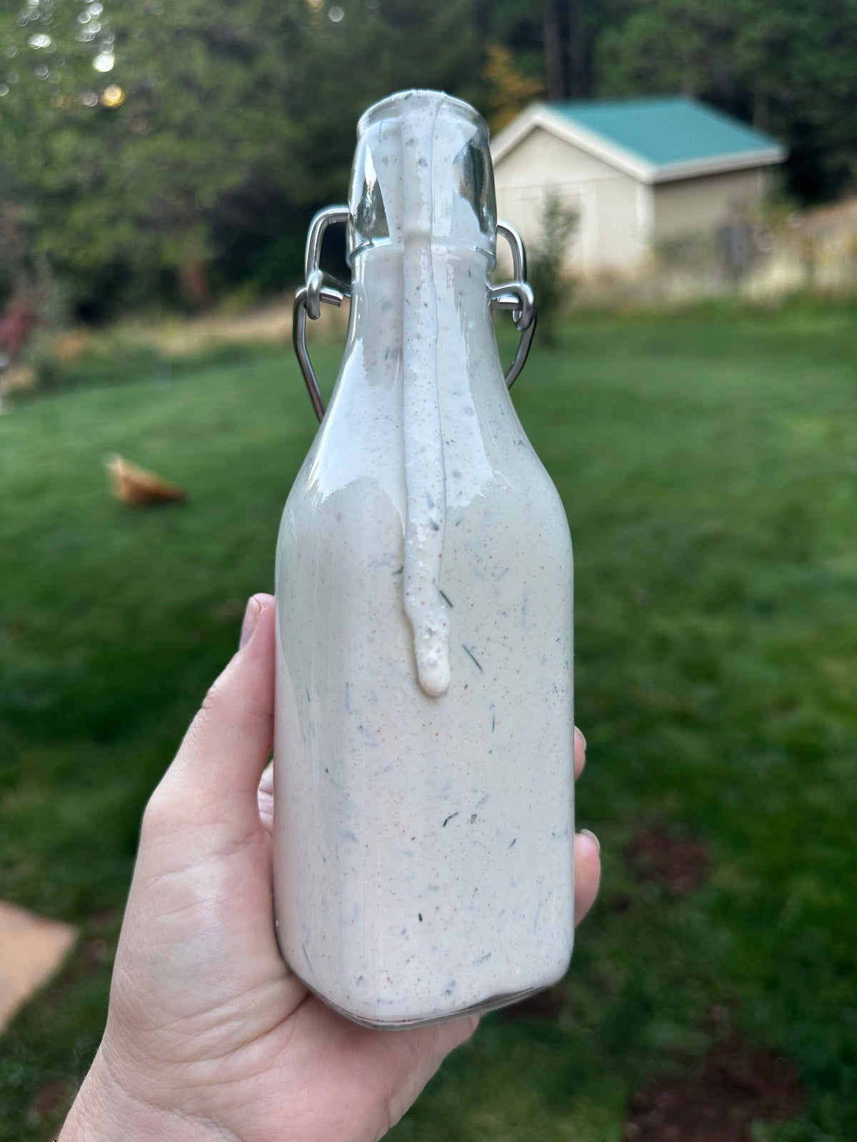 Homemade Ranch Dressing Without Seed Oils
